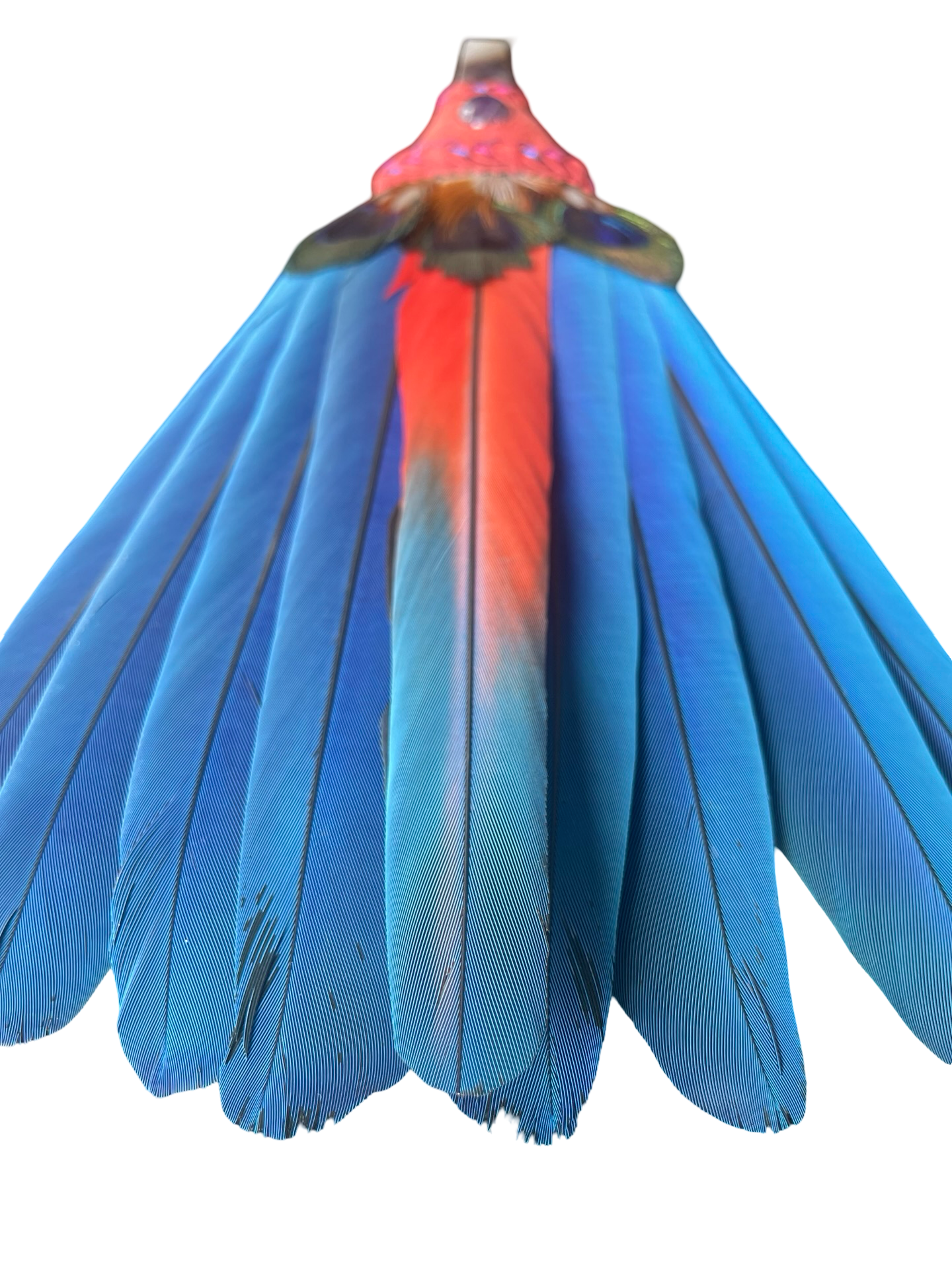 Macaw Smudge Fan with Amethyst Stone Handle