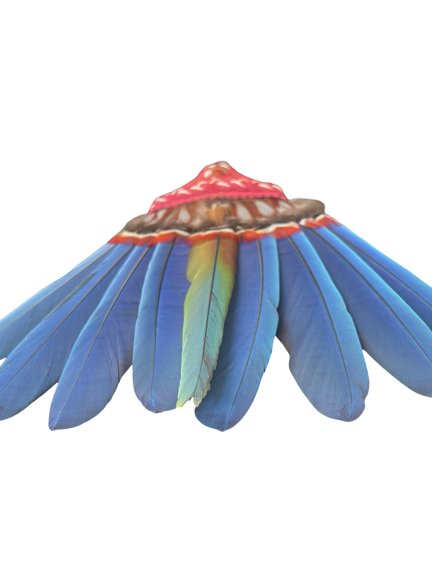 Macaw Smudge Fan with Stone Handle