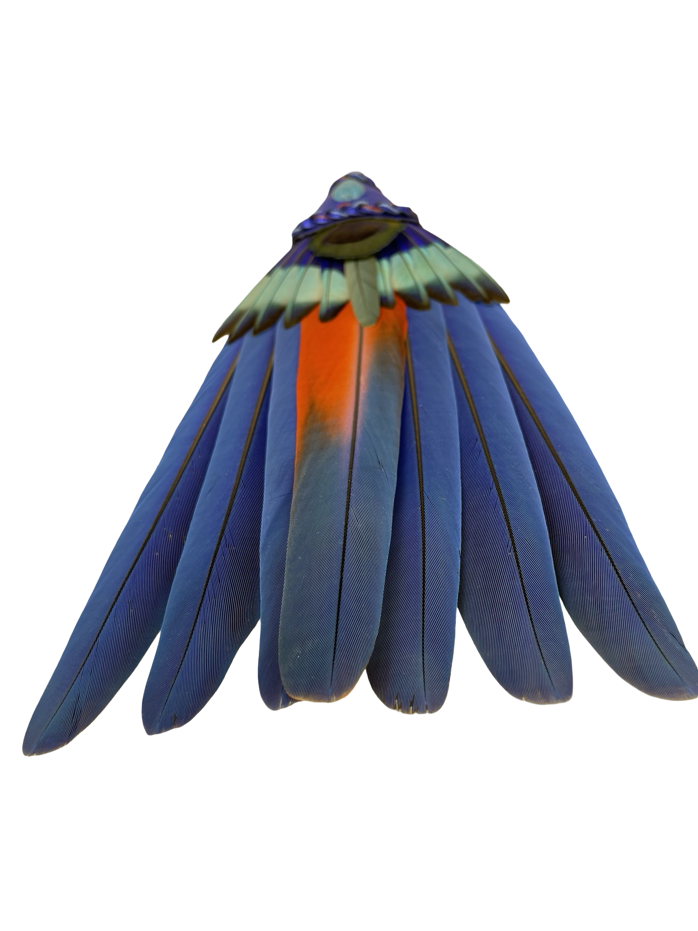 Macaw Smudge Fan with Blue Aventurine Stone Handle