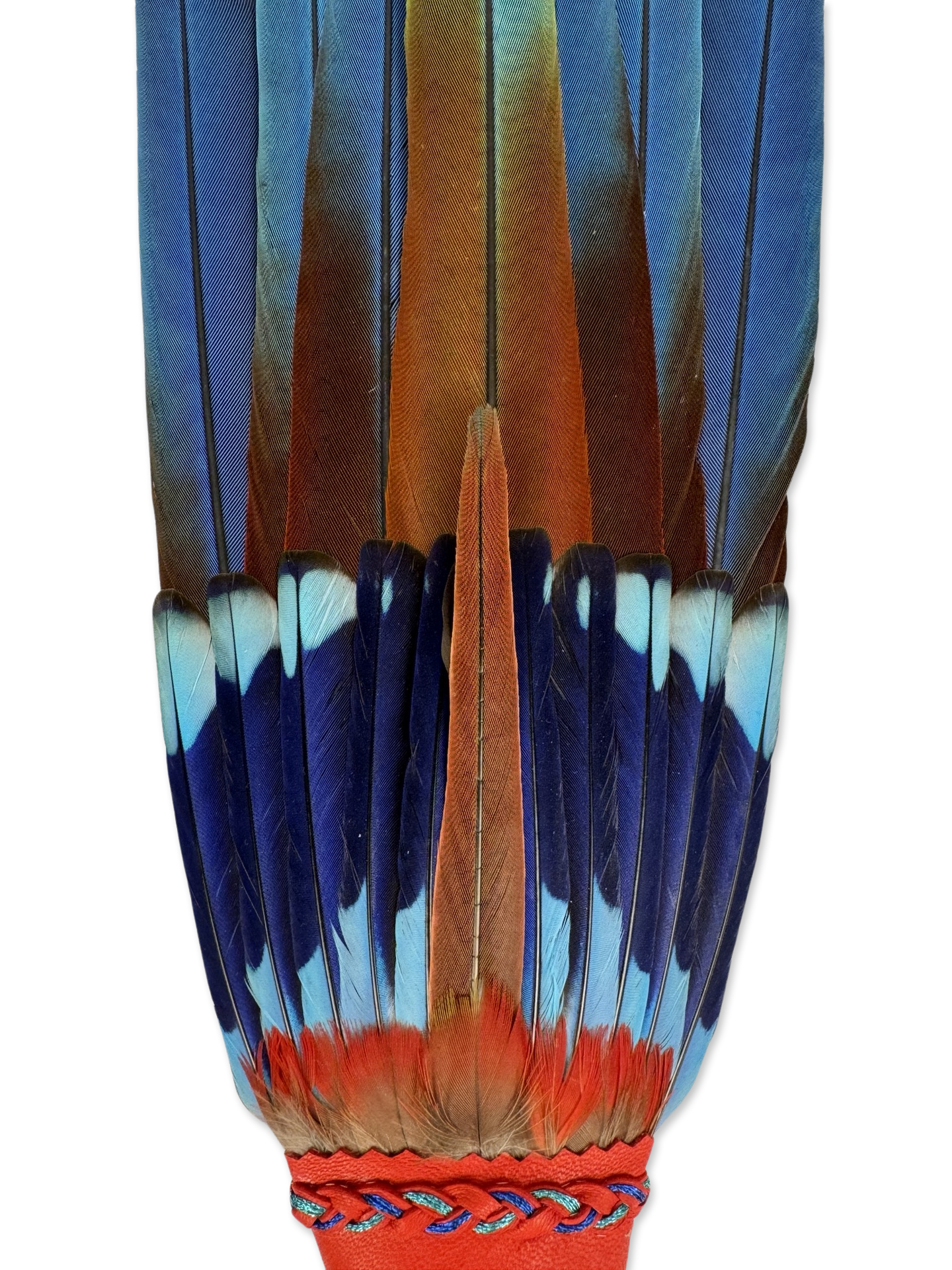 Macaw & Blue Indian Roller Smudge Fan with Amethyst Crystal Handle