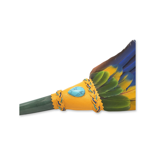 Macaw Smudge Fan with Aventurine Handle